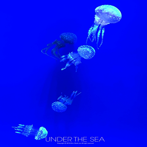 UNDER THE SEA